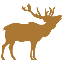 Perl Moose